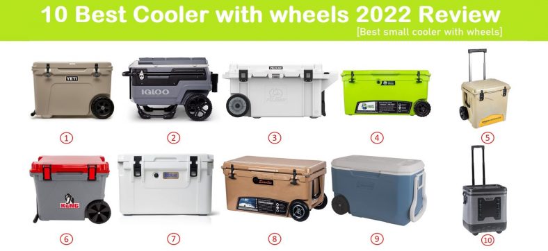 10 Best Cooler with wheels 2022 Review